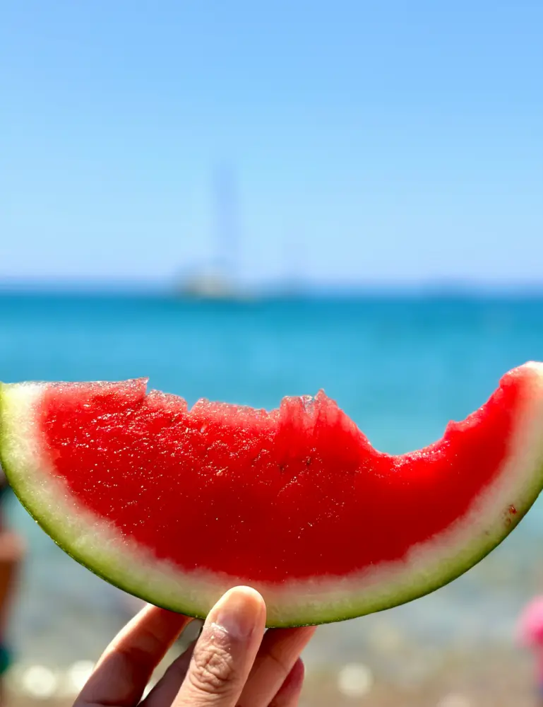 Watermelon Breeze 10 Oz Scented Candle - Image 2