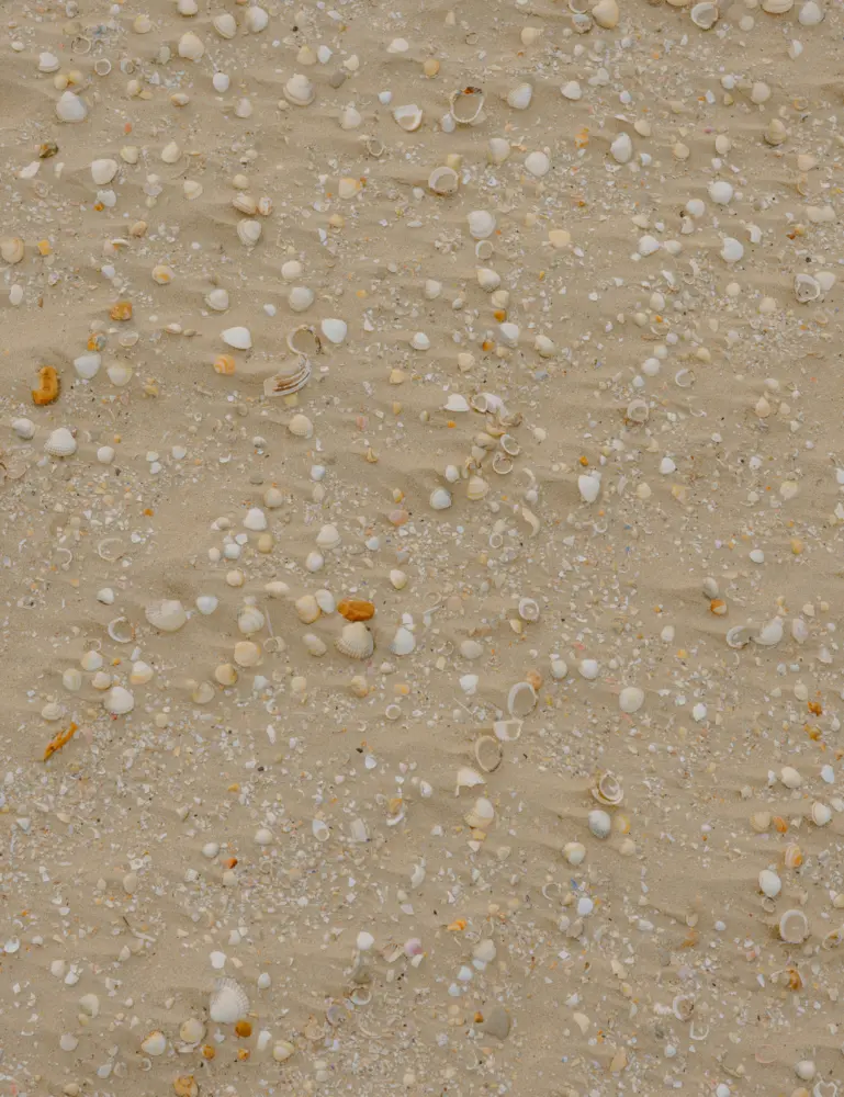 Ocean & Sea Salt 100 Ml Reed Diffuser - Image 2