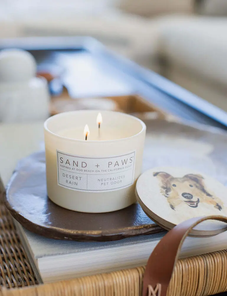Sand + Paws Desert Rain 12 Oz Scented Candle - Image 2