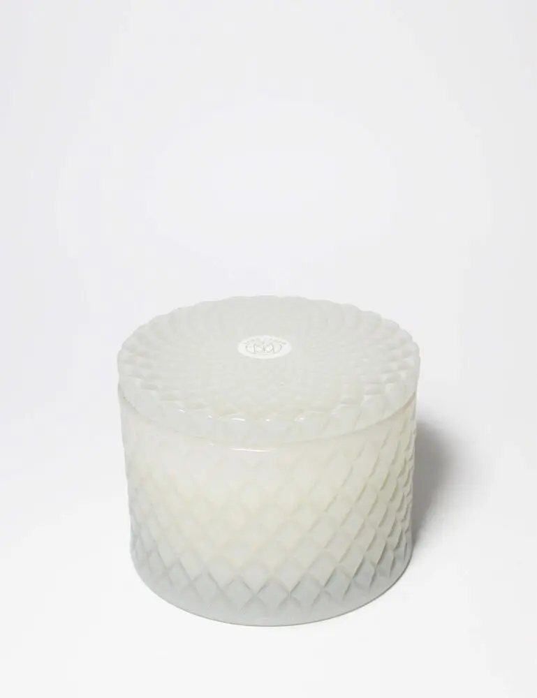 Tropical Citrus 9.5 Oz Scented Candle