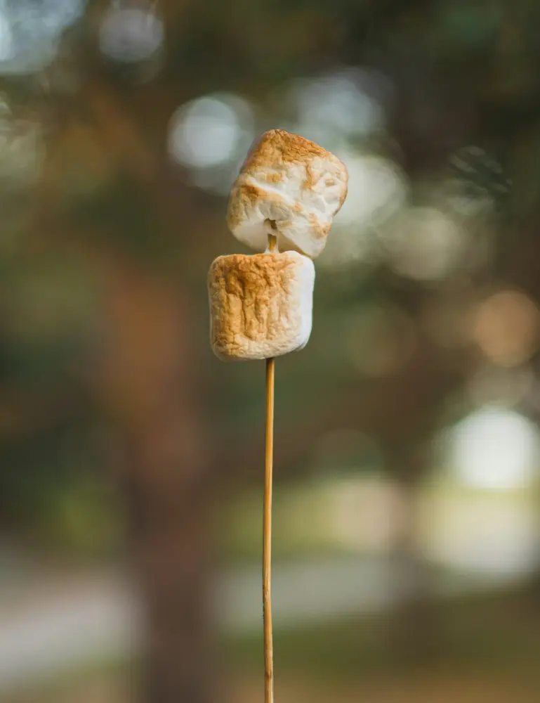Toasted Marshmallow 50ml Perfume Oil Dropper - Image 2