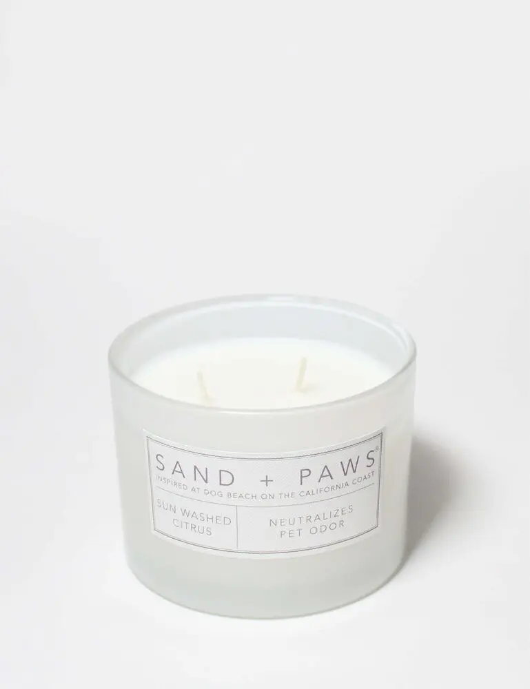 Sand + Paws Sun Washed Citrus 12 Oz Scented Candle - Image 4