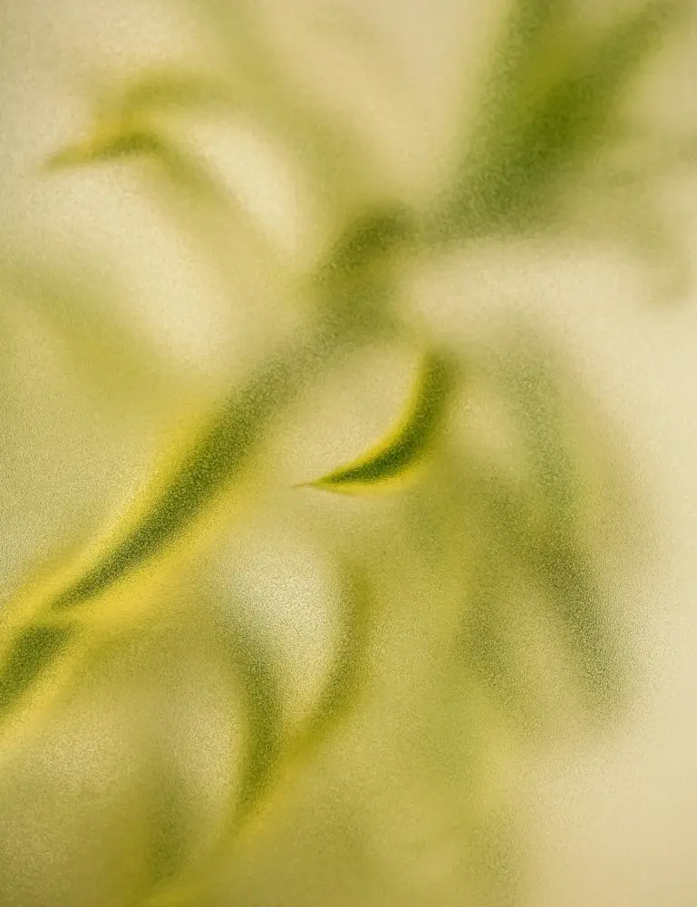 Lemongrass 12 Oz Scented Candle - Image 2