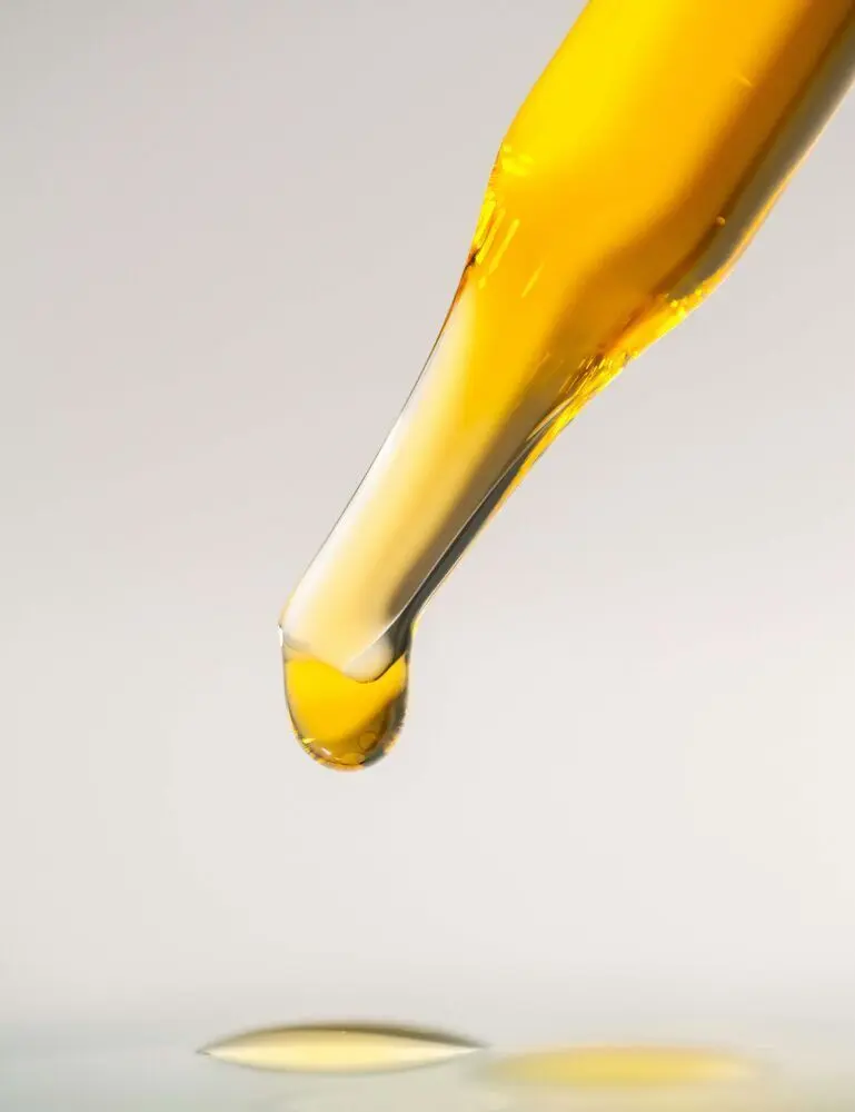 Vanilla Reserve 50 Ml Perfume Oil Dropper - Image 2