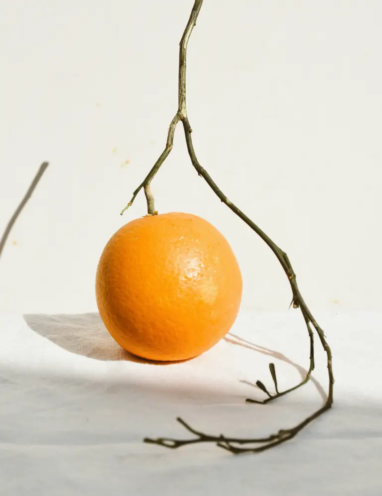 Citrus & Sandalwood 21 Oz Scented Candle - Image 2