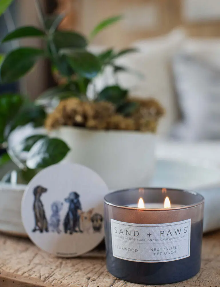 Sand + Paws Teakwood 12 Oz Scented Candle - Image 5