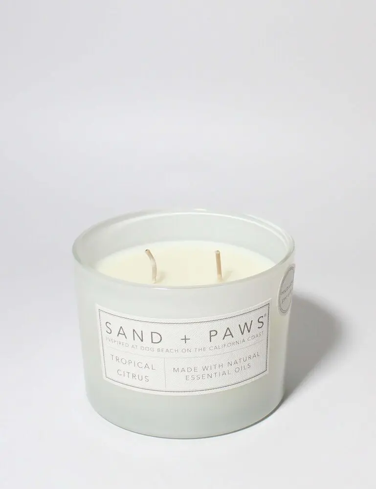 Sand + Paws Tropical Citrus 12 Oz Scented Candle - Image 3