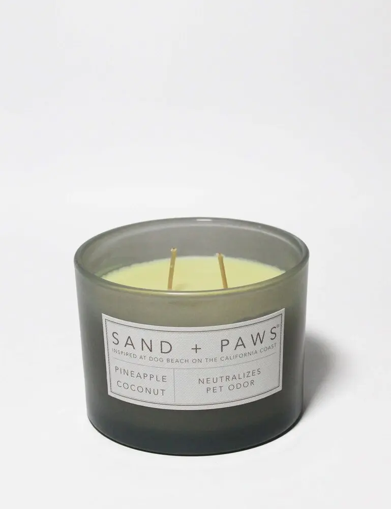 Sand + Paws Pineapple Coconut 12 Oz Scented Candle - Image 3