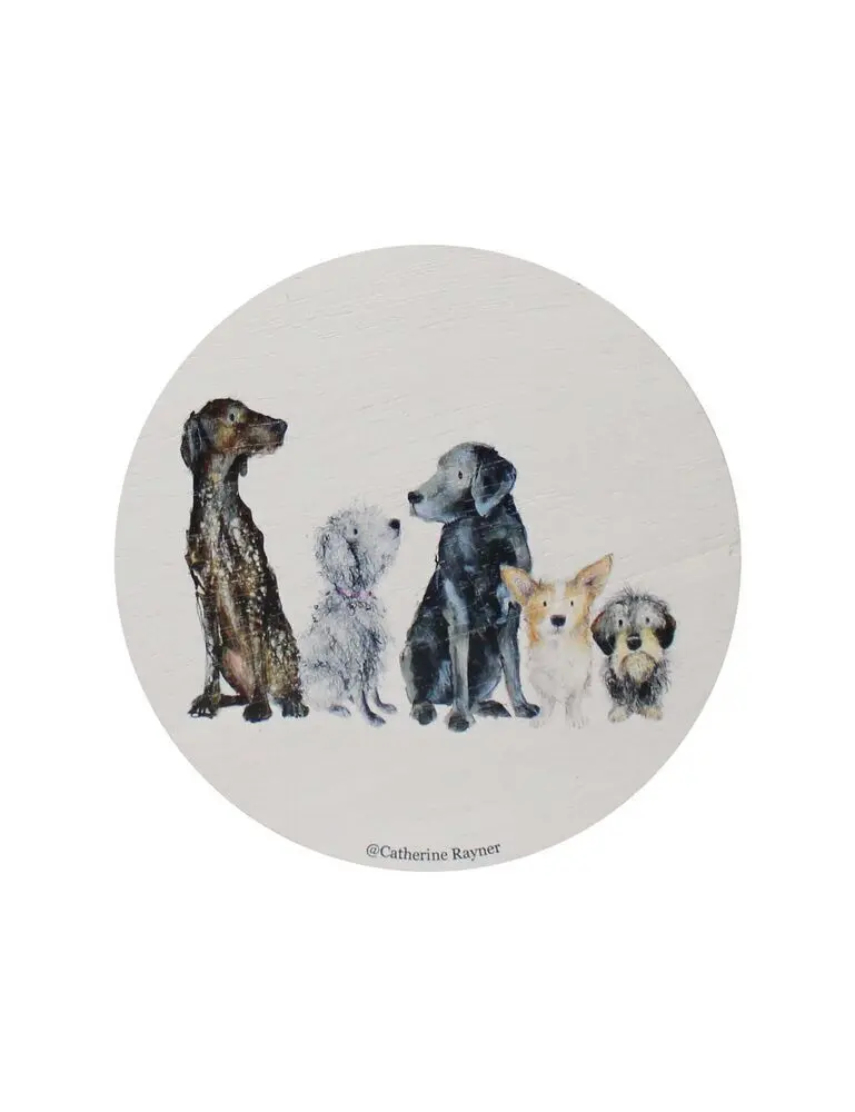 Sand + Paws Teakwood 12 Oz Scented Candle - Image 4