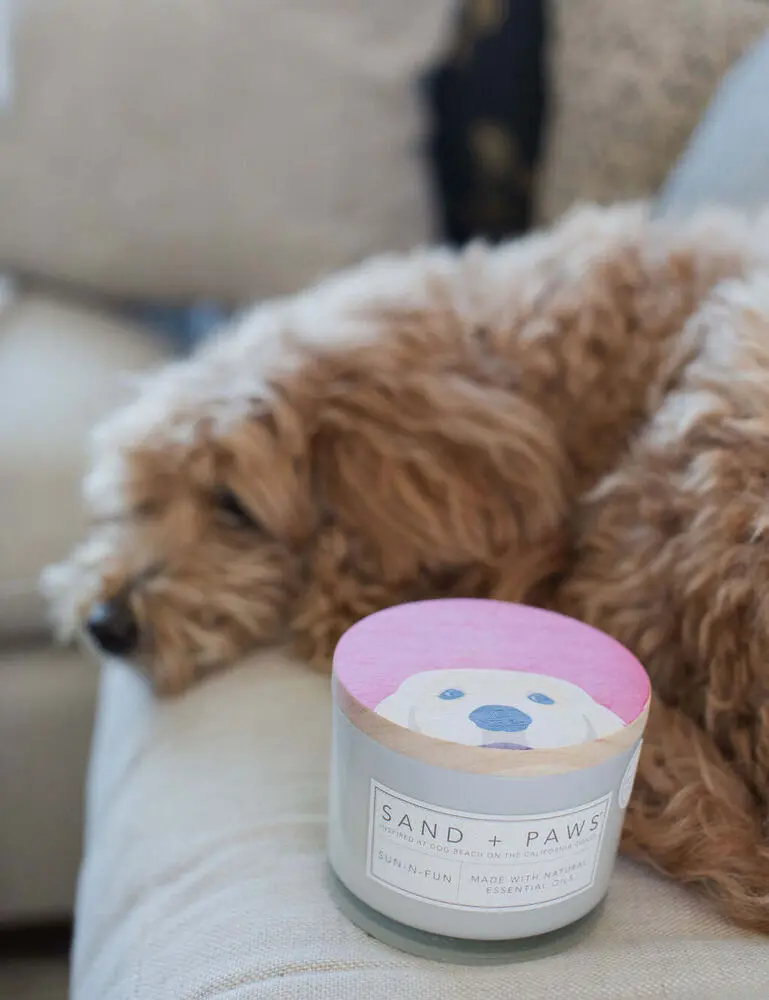 Sand + Paws Sun-N-Fun 12 Oz Scented Candle - Image 5